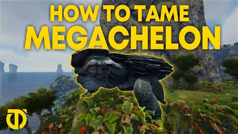 You should see some turtles so to tame them find a school of fish and let them follow you to the large turtle. . How to tame a megachelon
